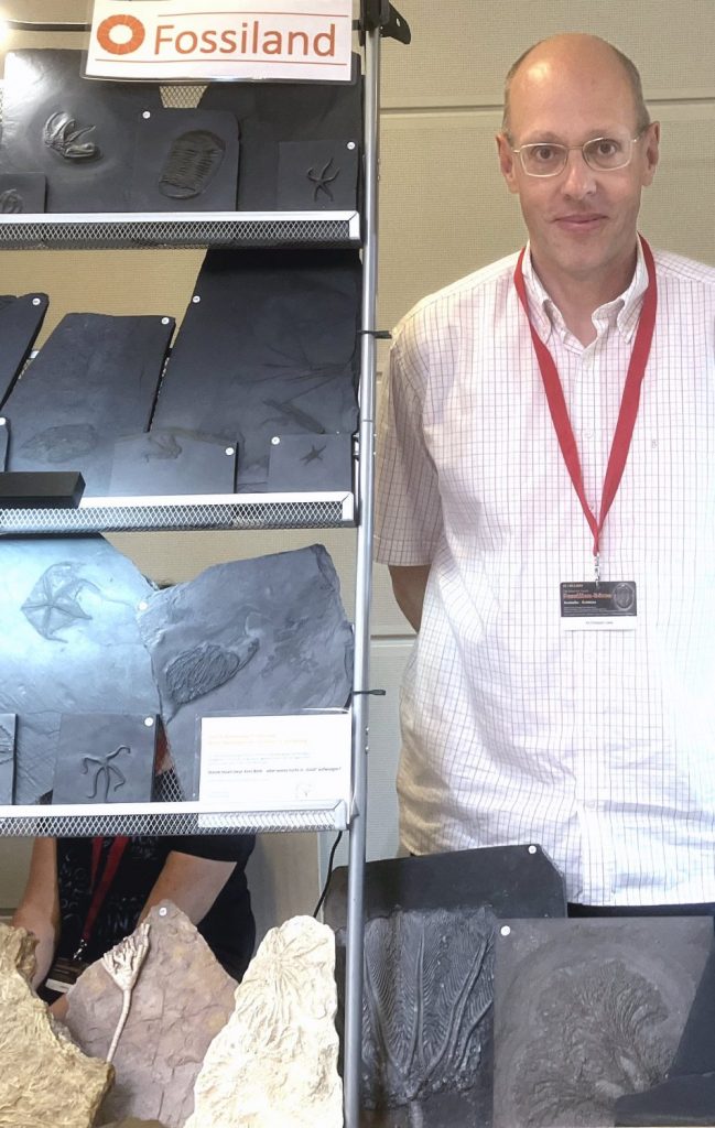 fossilien messe expertise