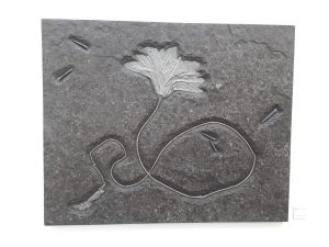 fossilien messe impression 05