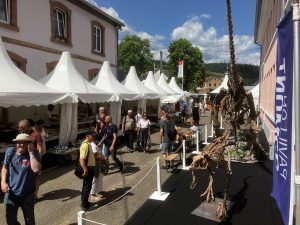 fossilien messe impression 08
