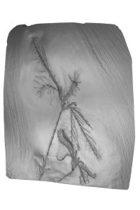 Fossilien Shop Bundenbach