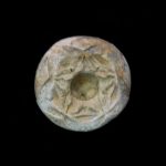 Pomatocrinus mespiliformis