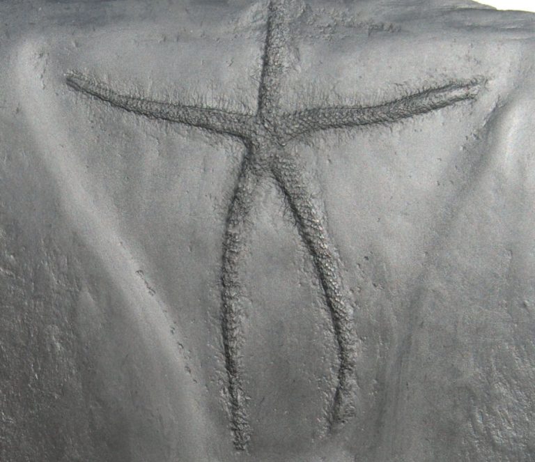 Bundenbach Urasterella