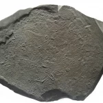 50 Sea urchins Diademopsis from Holzmaden on dark slate in general view