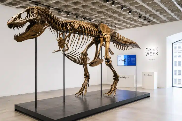 T Rex Gus Montage