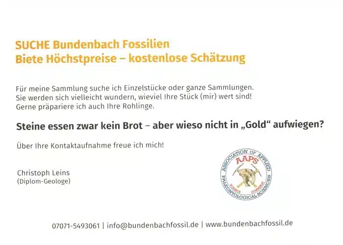 Karte "Suche Bundenbach Fossilien" Rückseite